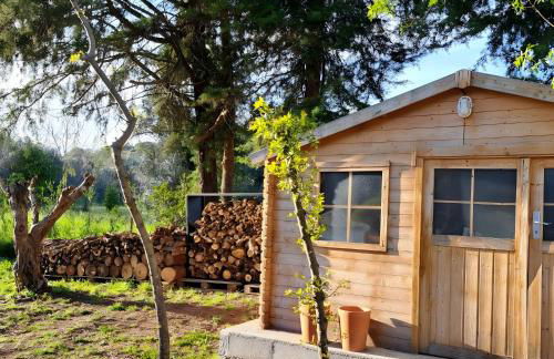 Monte Horta da Velhinha - Foto 12