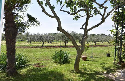 Apartments with parking space Sveti Ivan, Umag - 22472 - Foto 5