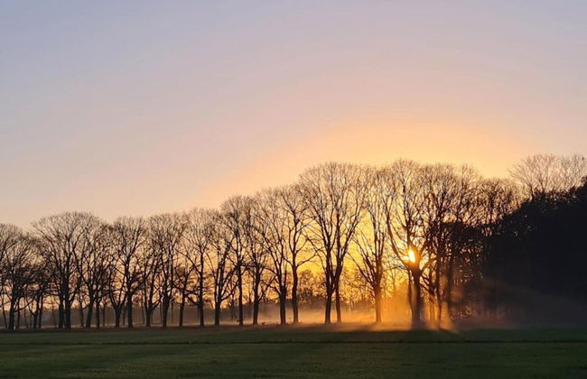 Holiday Home in Elsendorp With Garden - Foto 40