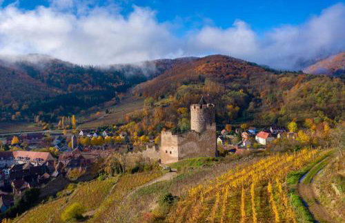 Le Belvédère du Lac Blanc - Photo 35