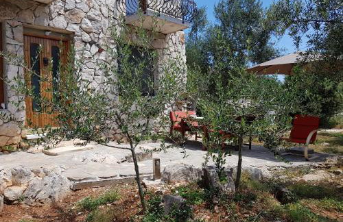 Holiday Home Strpuncina - Photo 16