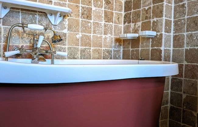 Domaine du Bosc Roger - Foto 42