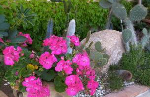 Villa Regina Accommodation - Foto 38