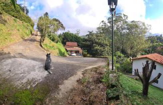 Casa do Golf - Photo 39