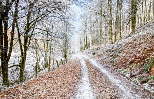 Luxury Apartments Winterberg in der alten Schule - Foto 38