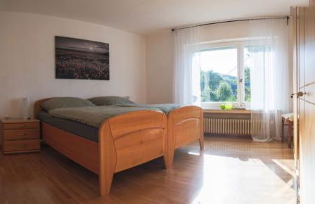 Bei Fuchses am Wisentpfad - Foto 10