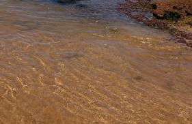 Carmela temporada Balneário de IRIRI Espírito Santo ES - Foto 27