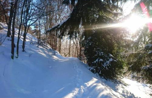 Family Comfort in Güntersberge - Foto 38