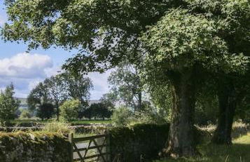 White Cottage deluxe 2 bedroom apartment - Foto 10