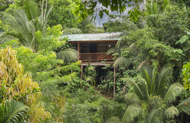 Cabañas del Lago - Foto 8