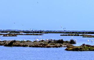 Ca Na Vinyet - Foto 32