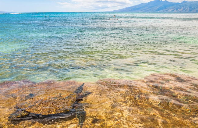 Maui Kaanapali Villas 415 - Foto 35