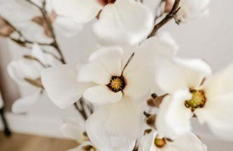 Apartament 1 Rozmarynowa 2 Residence Opole - Foto 20