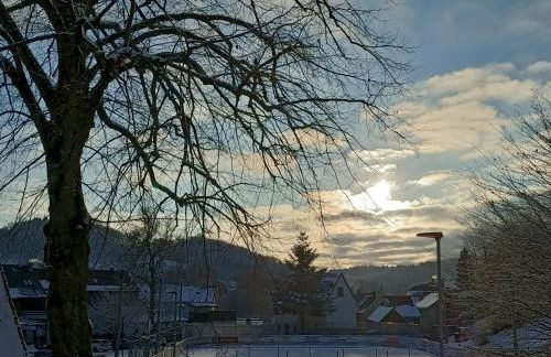 Fewo Lindenlaub - Foto 19