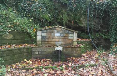 ForestRock Studio FOR SALE TOO - Foto 31