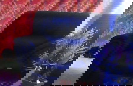 Loyalty Apartments - Foto 6