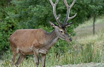 Alojamiento valeria - Foto 25