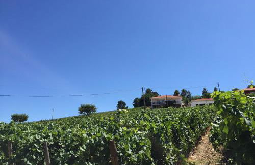 Quinta dos Espinheiros - Photo 49