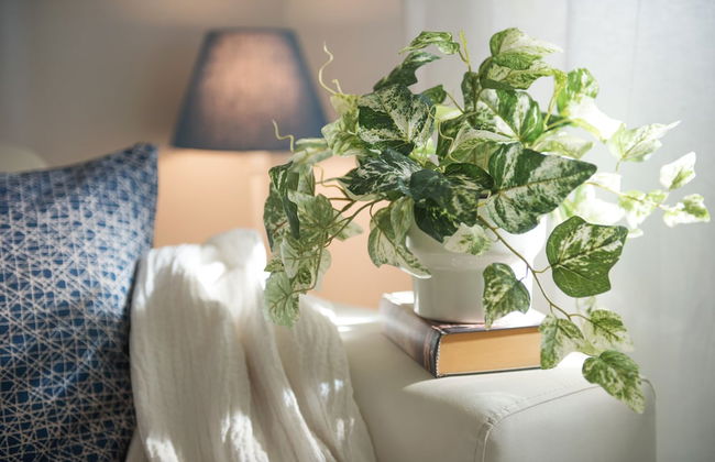 Oki Doki Studios - Foto 6