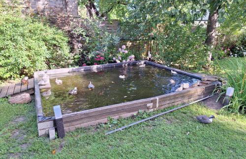 Pension Entenhausen - Foto 69