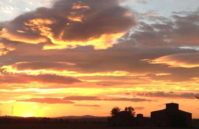 Agrisalotto - Foto 23