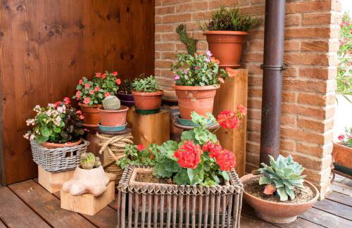 Dolce Casetta - Foto 11