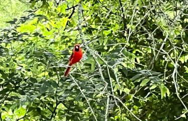 Gated Estate Escape! Three BR - Foto 49