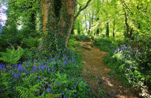 Loughview Cottage - Foto 21