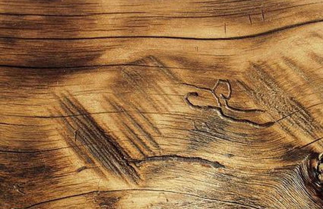 Näätämö - Foto 17