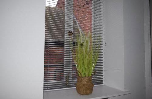 7 Plants Yard - Foto 10