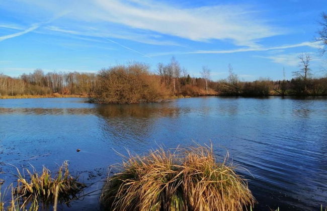 Cozy, Wooden Chalet With Deck, Near Durbuy - Foto 36