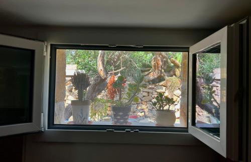 Trulli delle succulente - Foto 25