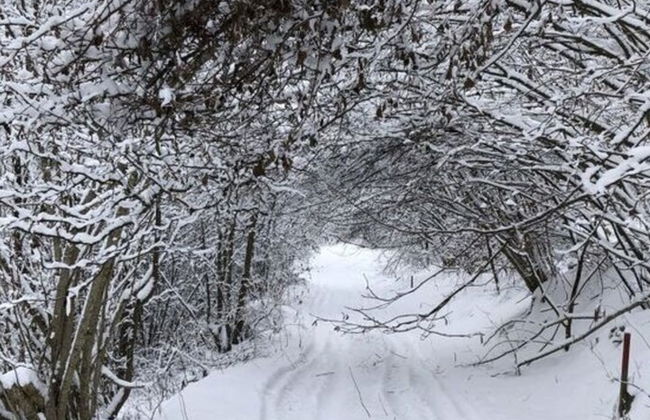 Chalet Prinz Comfortable Holiday Residence - Foto 18