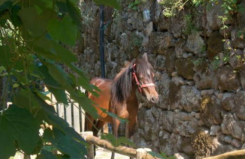 Casa do Mercador - Foto 18