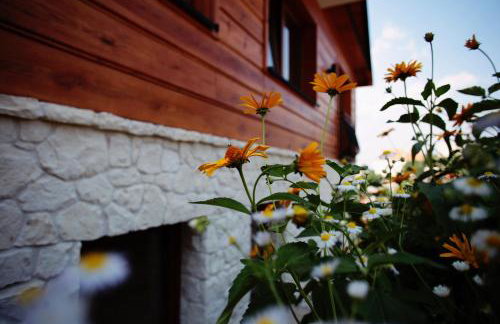 Sielsko-Anielsko centrum - Foto 9