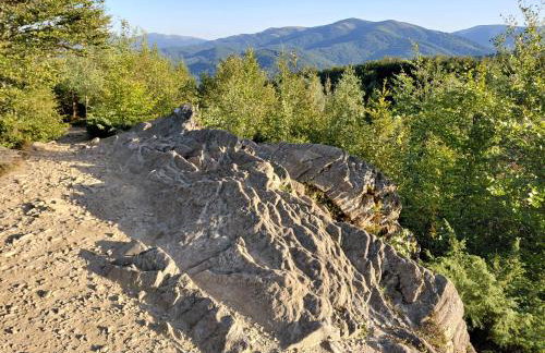 Karolówka Nad Osławą - Foto 27