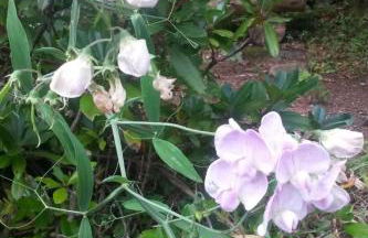 Apartment Bär by Interhome - Foto 75