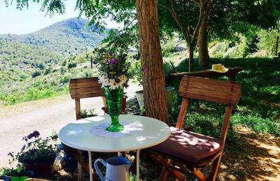 Velo Grablje - Rustic country house on island Hvar - Foto 29