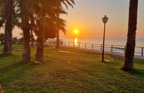 Sol en la plaja - Photo 46