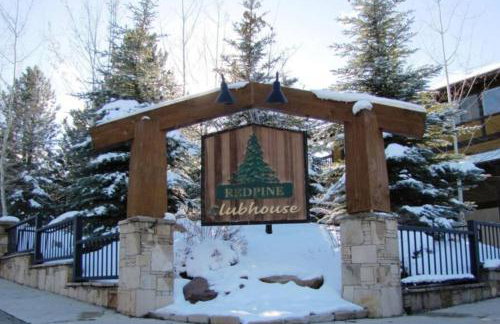 Dont miss the Main level Cozy Winter Retreat - Photo 15