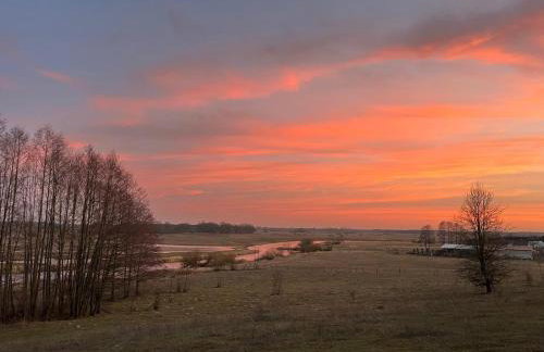 Biebrzaski - dom nad Biebrzą - Foto 34