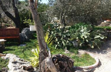 Hvar Mediterranean Ranch House - Foto 75