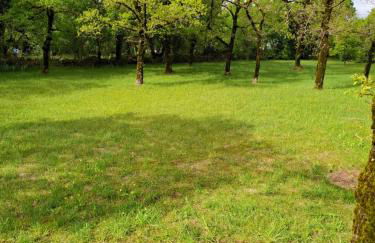 Gîte du Causse Loubressac - Photo 39