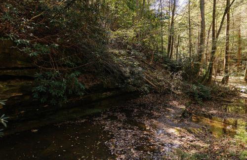 Modern Mirror Home w/ Hot-tub - “Glass House” #1 - Foto 37