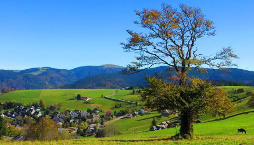 Sport Rees - Ferienwohnung Anna - Foto 2