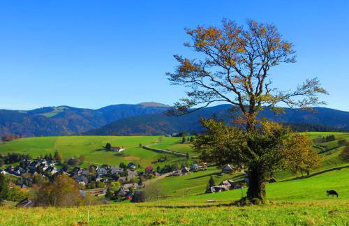 Sport Rees - Ferienwohnung Anna - Photo 2