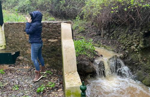 Alojamiento La Casa del Pintor - Foto 45