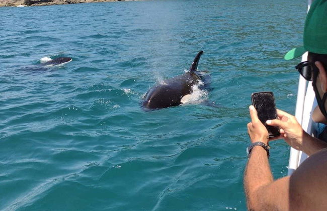 Paseo en barco por las islas del norte de Ubatuba - Foto 5