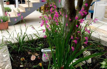 Villa Amica - Photo 23