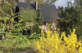 Domek Rokitki - Foto 13